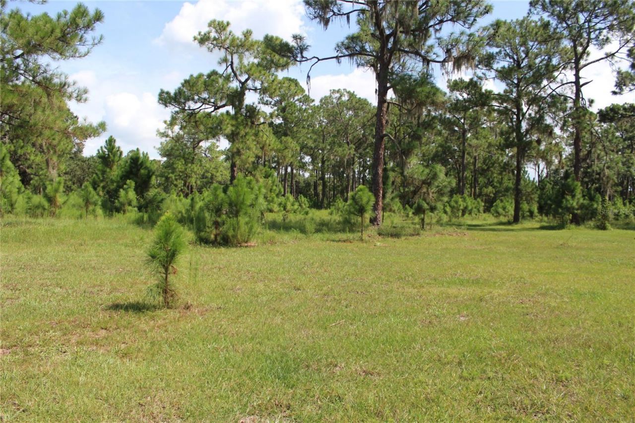 Us Highway 98 W, Frostproof, FL 33843 Photo