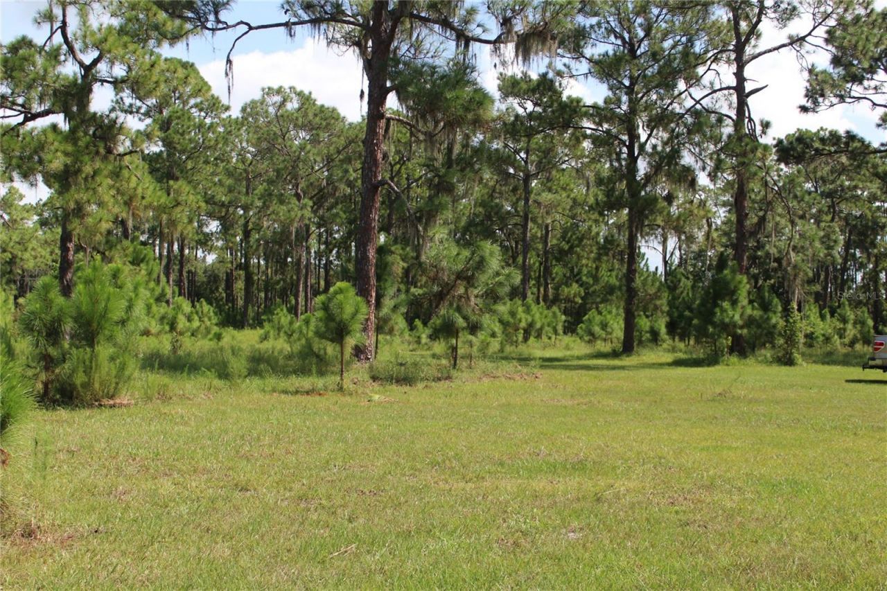 Us Highway 98 W, Frostproof, FL 33843 Photo