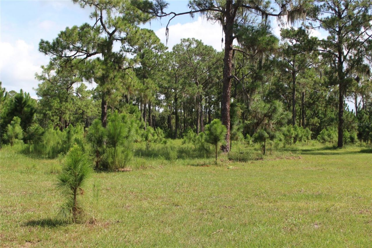 Us Highway 98 W, Frostproof, FL 33843 Photo