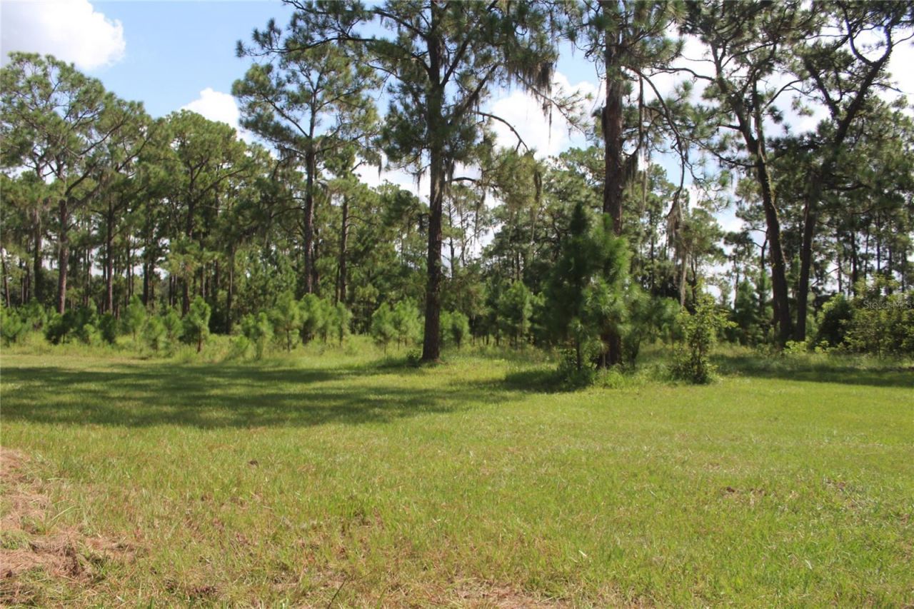 Us Highway 98 W, Frostproof, FL 33843 Photo
