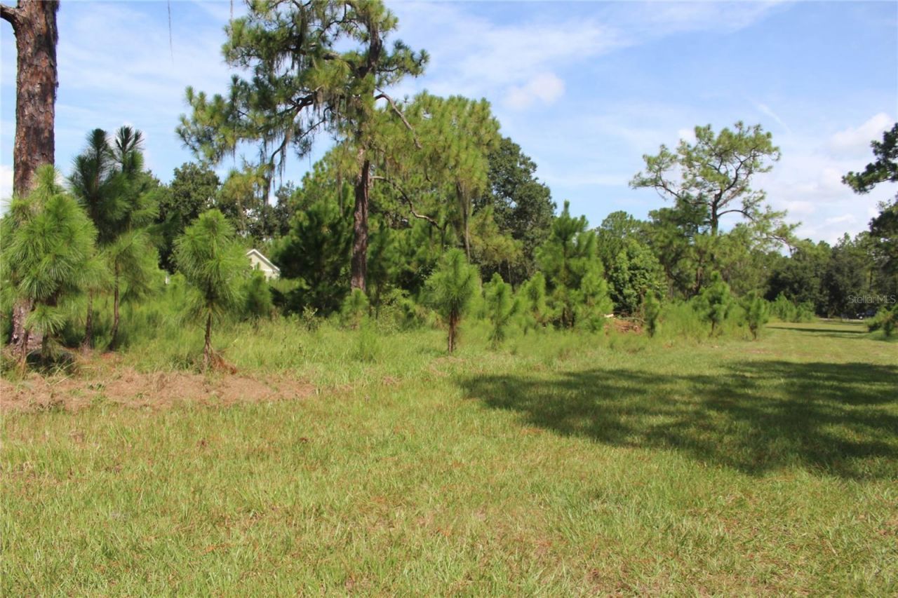 Us Highway 98 W, Frostproof, FL 33843 Photo