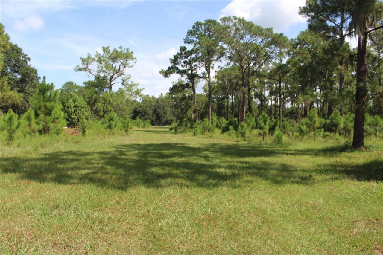 Us Highway 98 W, Frostproof, FL 33843 Photo