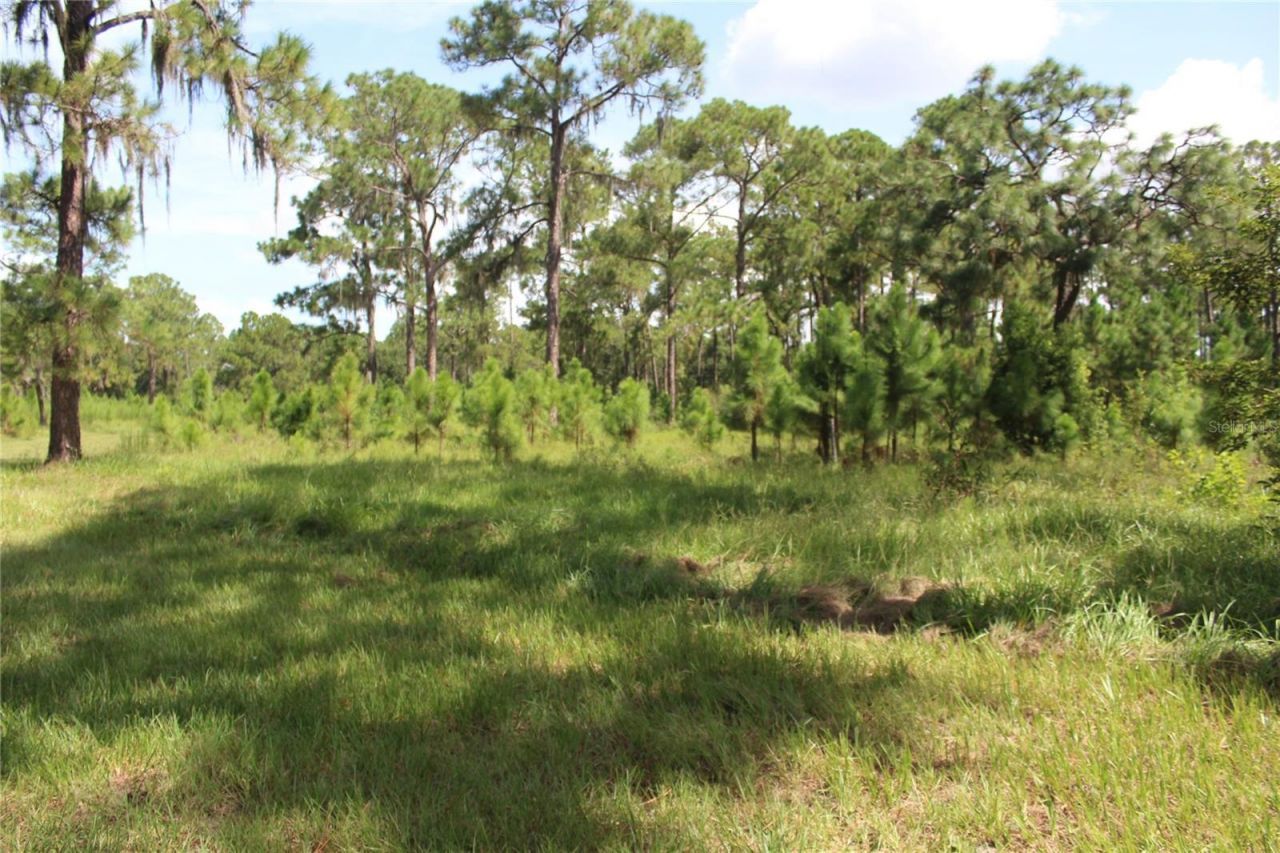 Us Highway 98 W, Frostproof, FL 33843 Photo