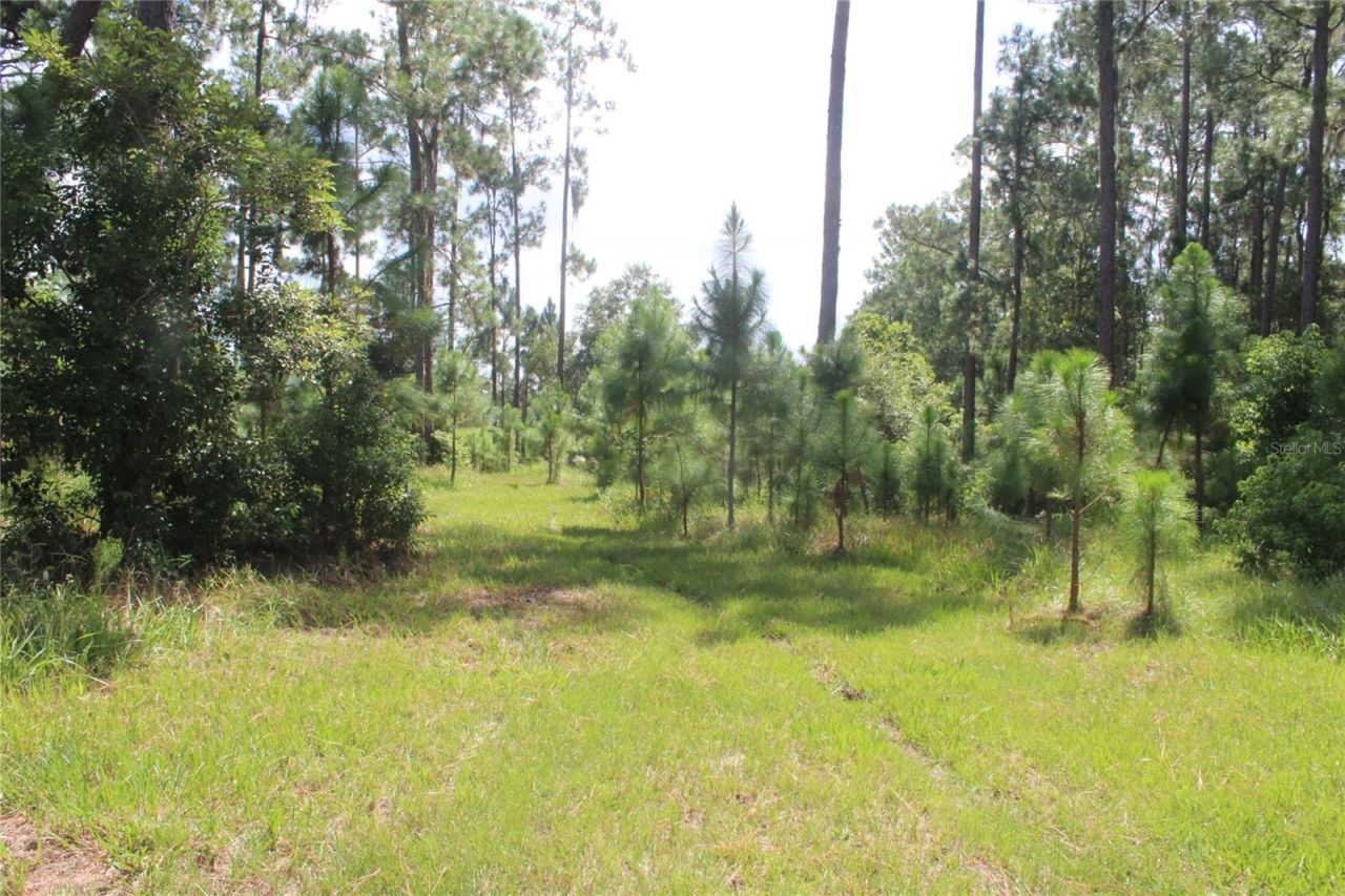 Us Highway 98 W, Frostproof, FL 33843 Photo