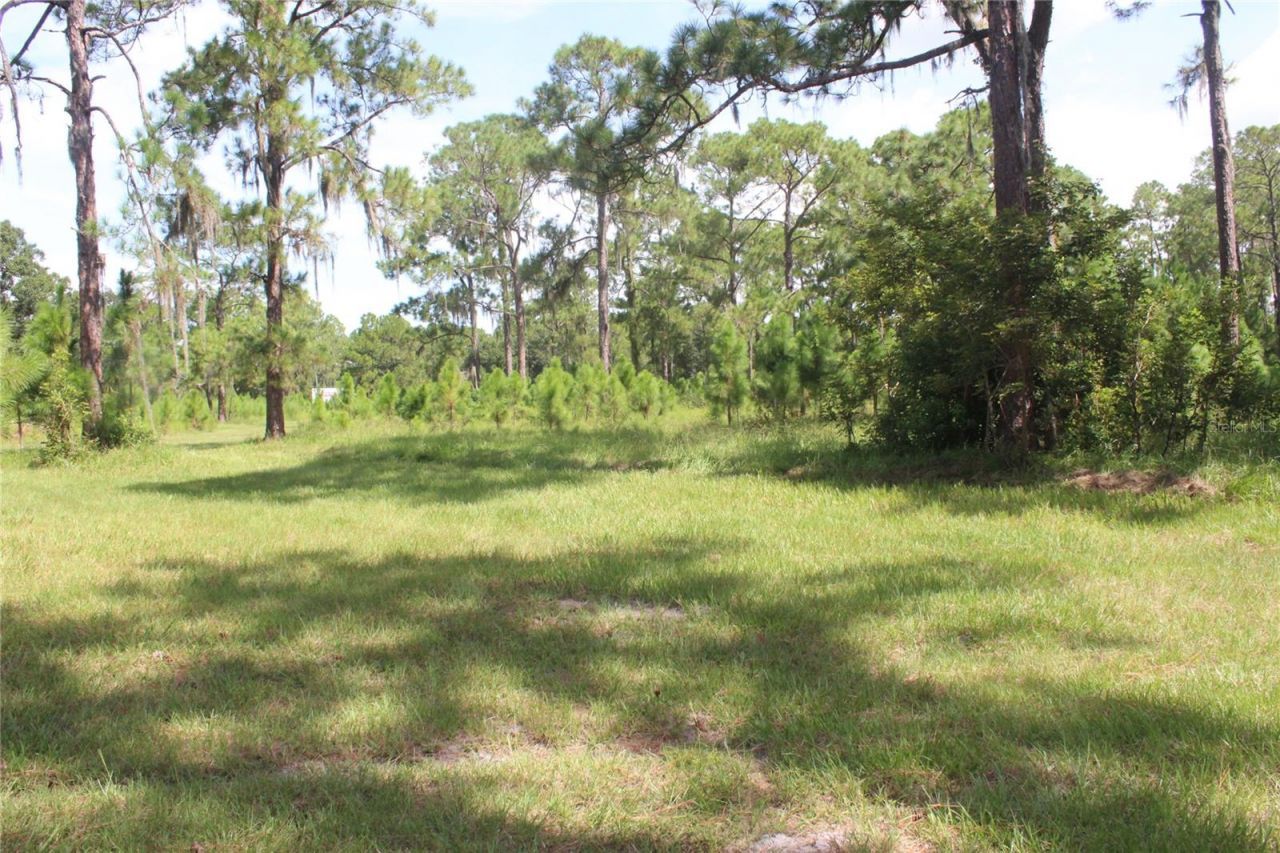 Us Highway 98 W, Frostproof, FL 33843 Photo