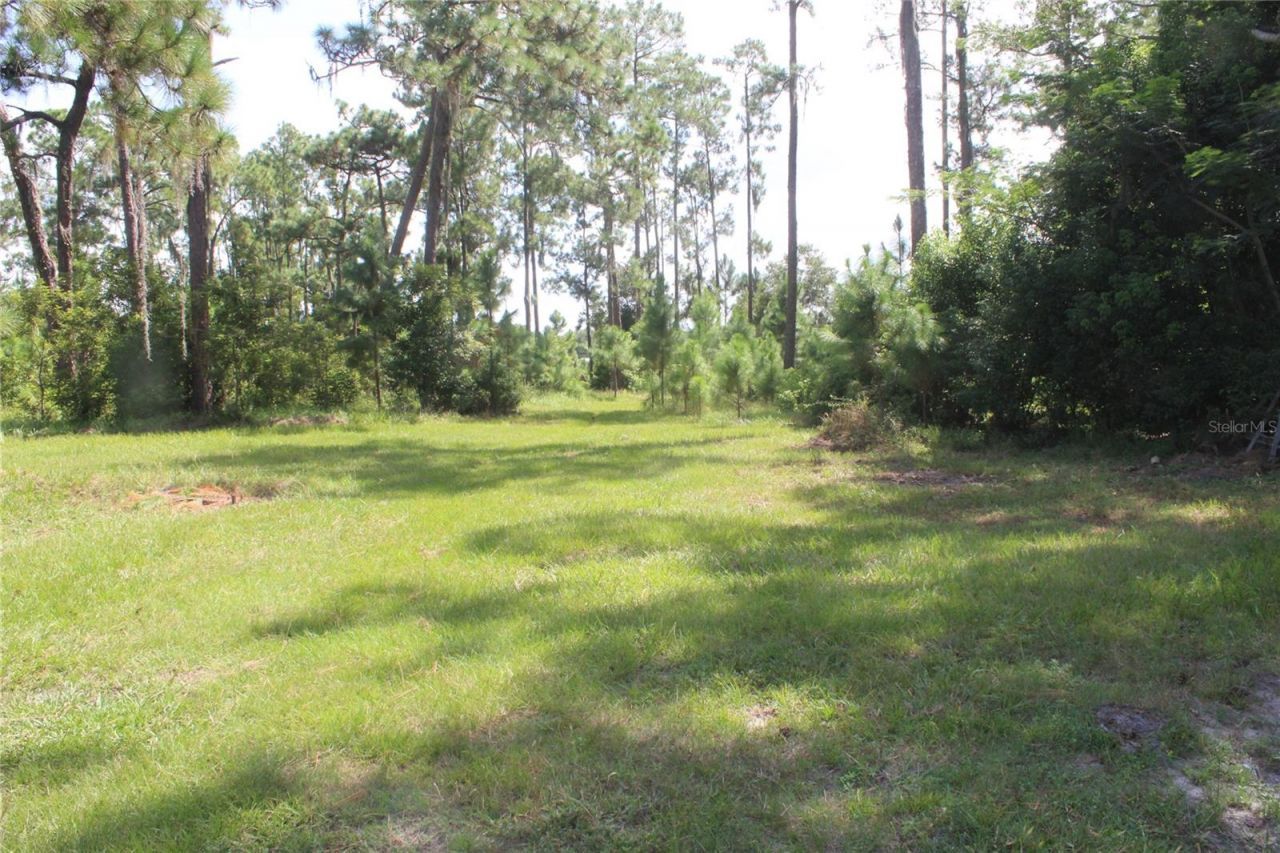 Us Highway 98 W, Frostproof, FL 33843 Photo