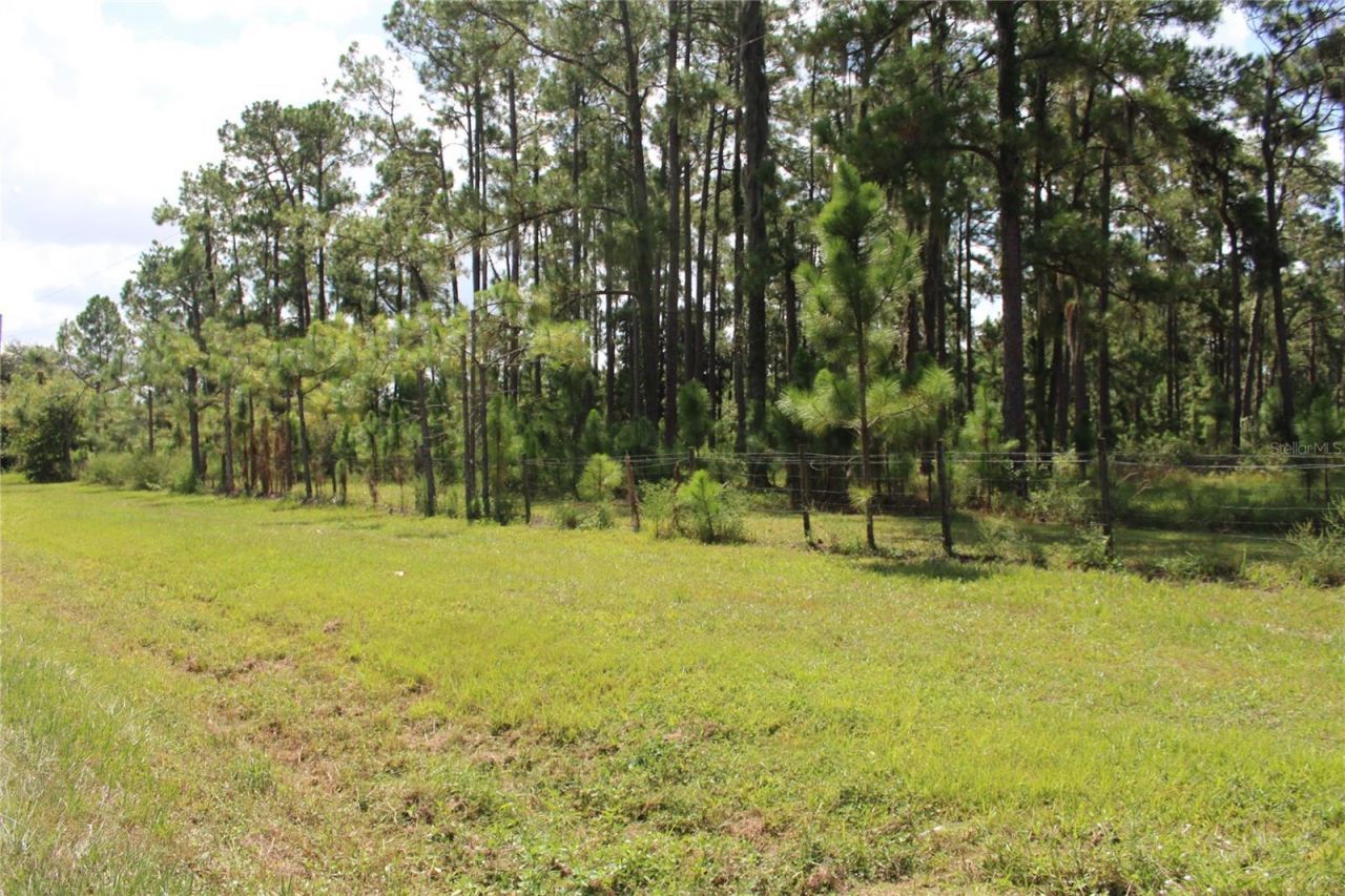 Us Highway 98 W, Frostproof, FL 33843 Photo