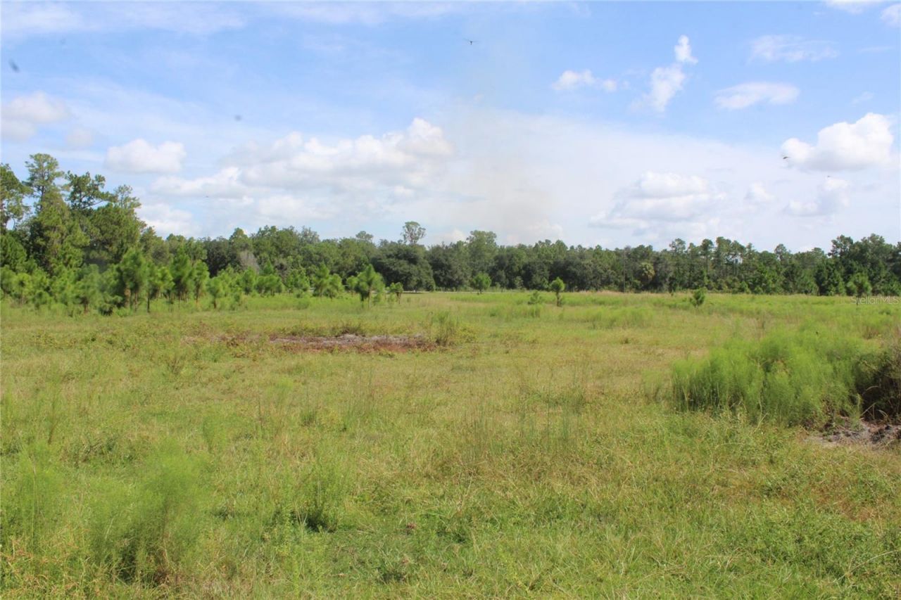 Us Highway 98 W, Frostproof, FL 33843 Photo