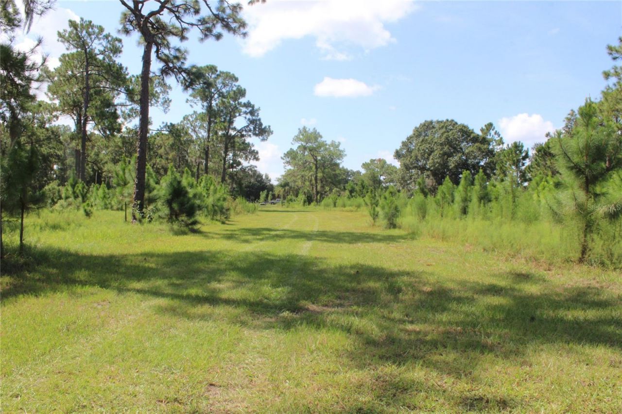 Us Highway 98 W, Frostproof, FL 33843 Photo