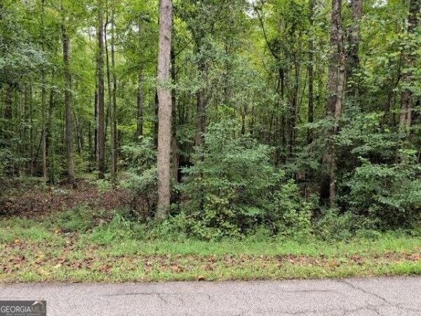 194 Tahoe Trail, Martin, GA 30557