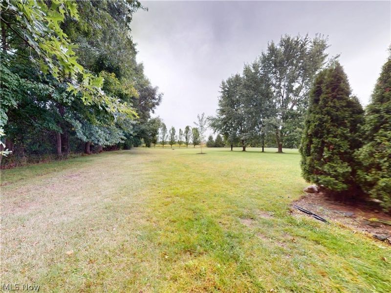 9875 Detwiler Road, Canfield, OH 44406 Photo 38