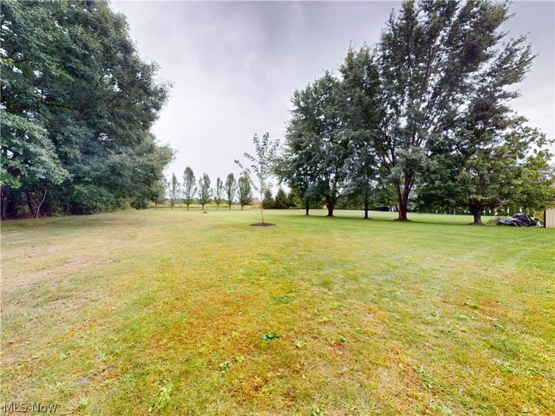 9875 Detwiler Road, Canfield, OH 44406 Photo 40