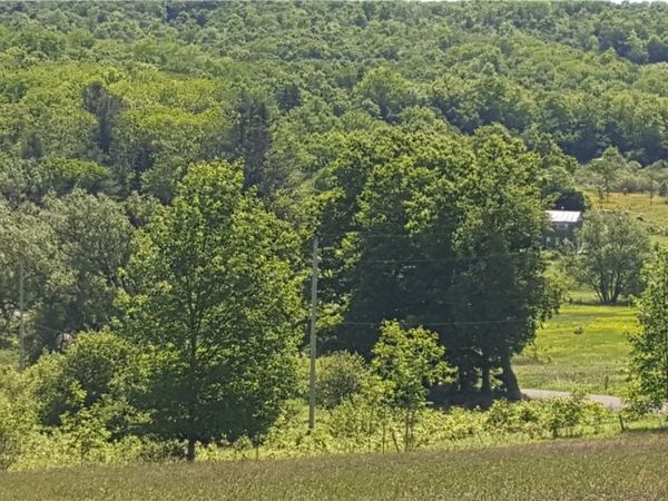 Stone Road , Cincinnatus, NY 13040