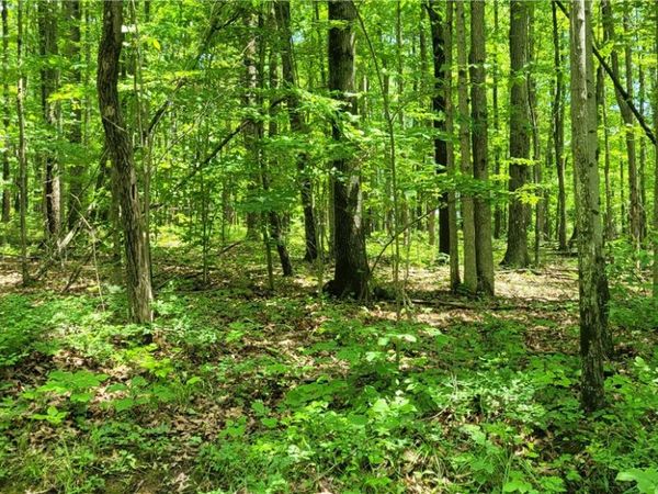 Hagerman Road , Waverly, NY 14825