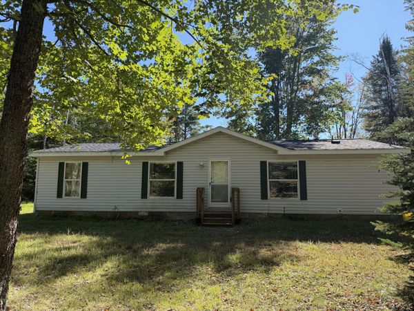 845 Badgley Road, Vanderbilt, MI 49795