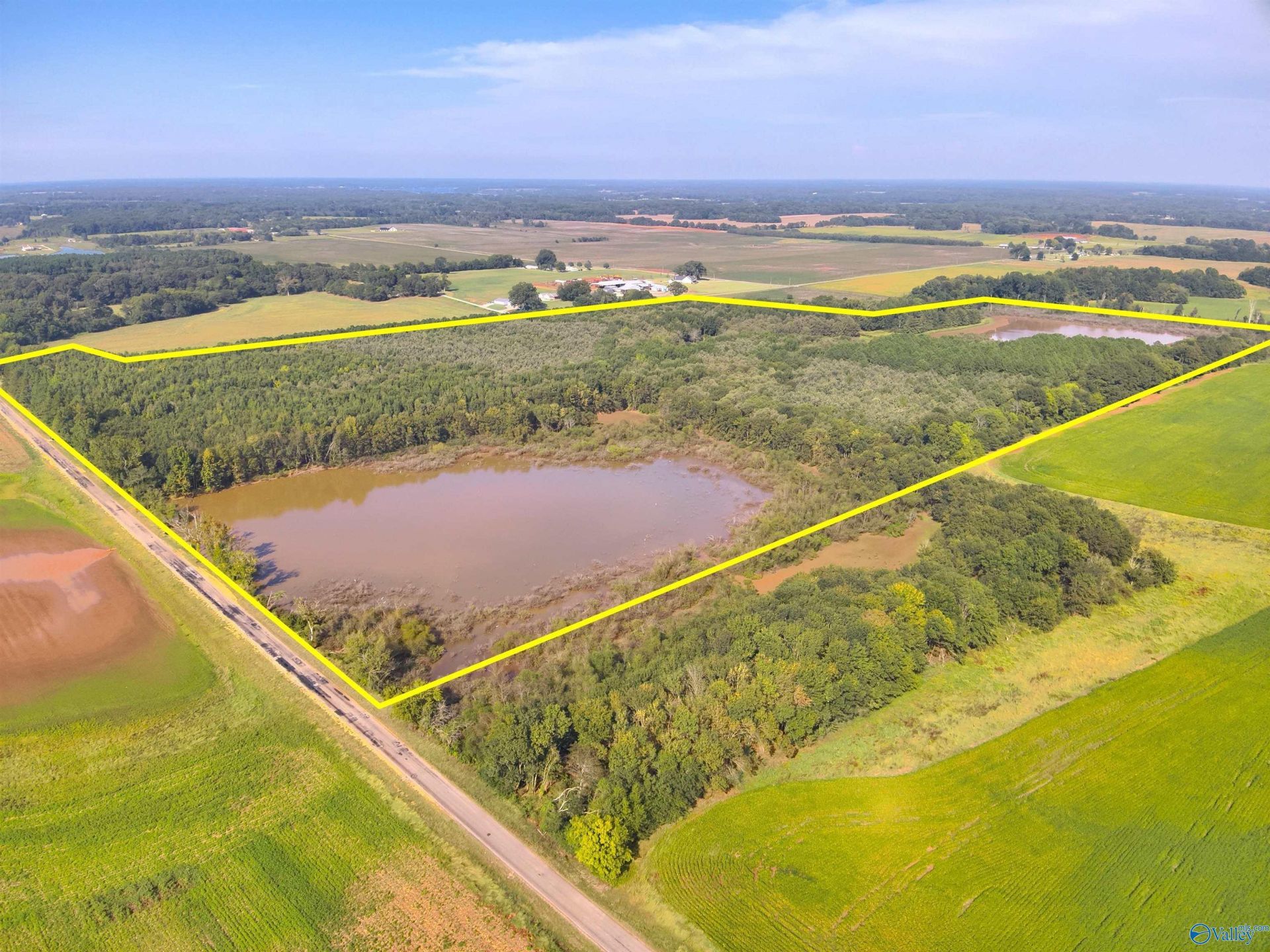 75 Acres 6th Street, Leighton, AL 35646 Main Photo