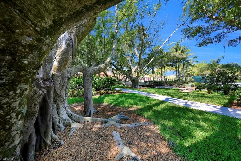 6081 Silver King Blvd, Unit 501, Cape Coral, FL 33914 Photo
