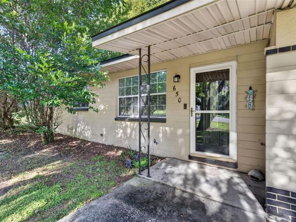 650 S CARPENTER AVENUE , ORANGE CITY, FL 32763