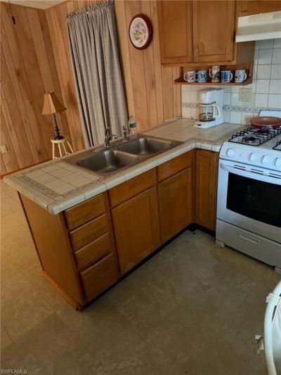 8612 Red Cedar Dr, Estero, FL 33928 Photo