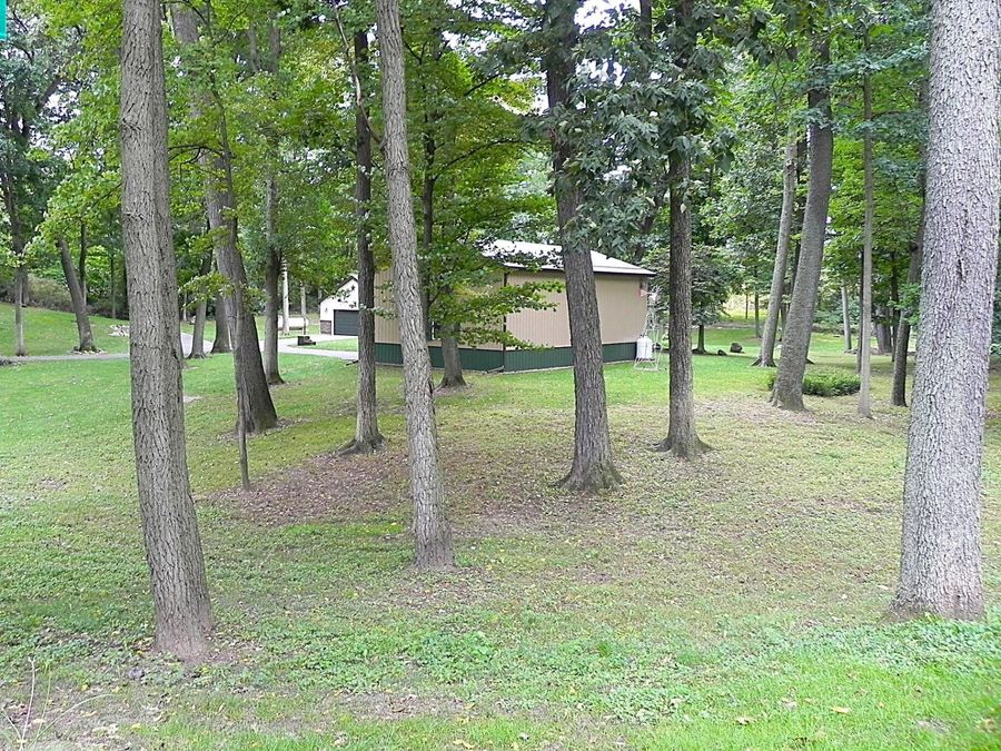 Property Image 60