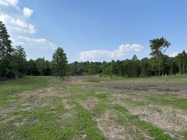 0 Roy Foster Rd , Mc Minnville, TN 37110
