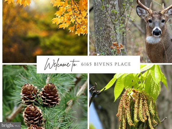 6165 BIVINS PLACE , LA PLATA, MD 20646