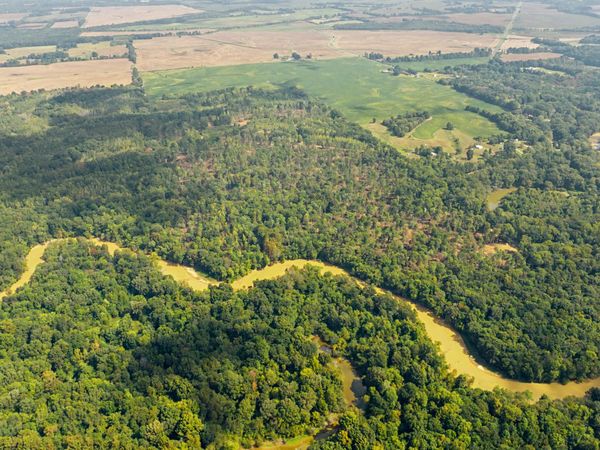00 Hatchie River , Brownsville, TN 38012