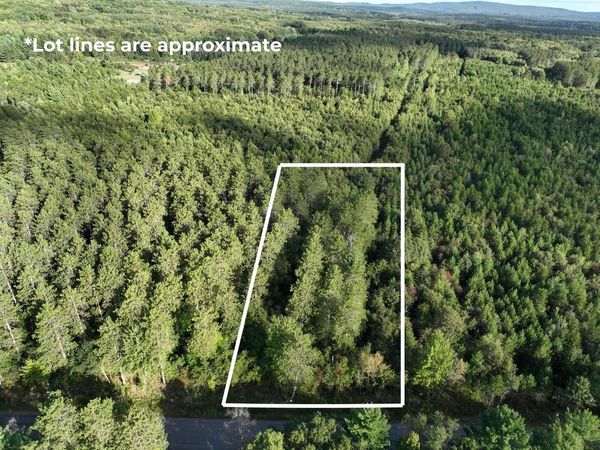 Lot 4 SCOUT ROAD, Mosinee, WI 54455