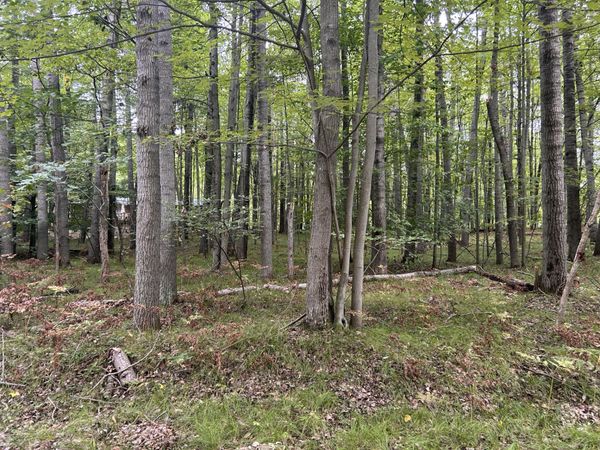 8228 Tanglewood Trail, Stanwood, MI 49346