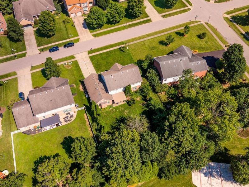1255 Rosetree Drive, Miami Township, OH 45150 Photo 38