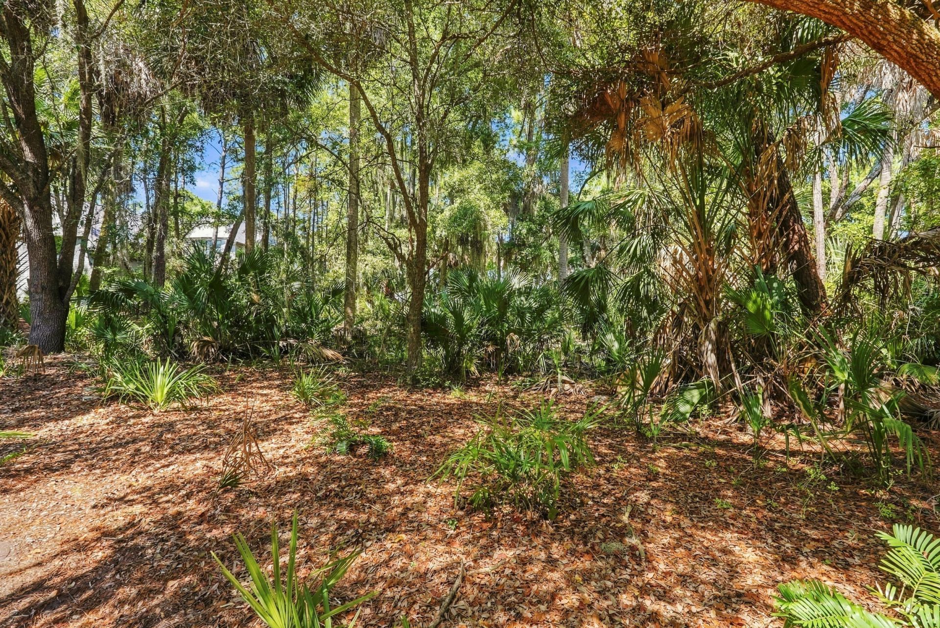 320 Moon Tide Lane Photo 7