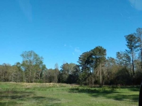 0 Zenith Mill Road, Roberta, GA 31078