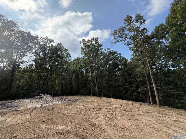 7 Acres, Guntersville, AL 35976