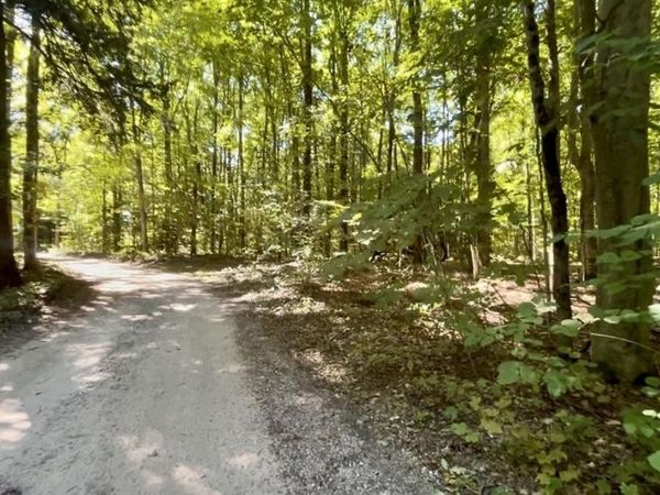Langs Lane, Interlochen, MI 49643