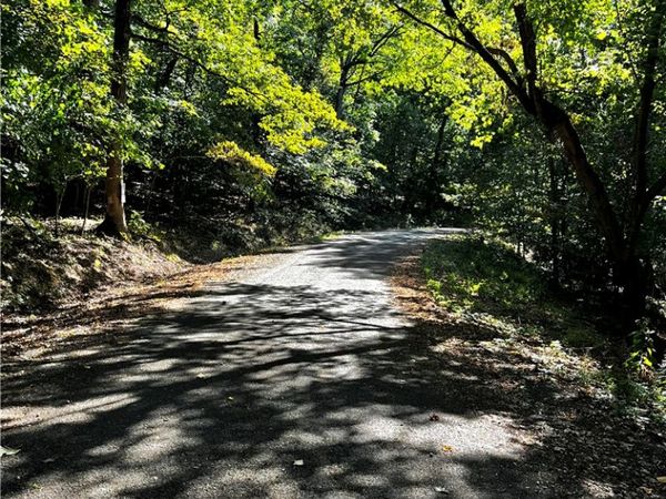 Woodside Lane , Holiday Island, AR 72631