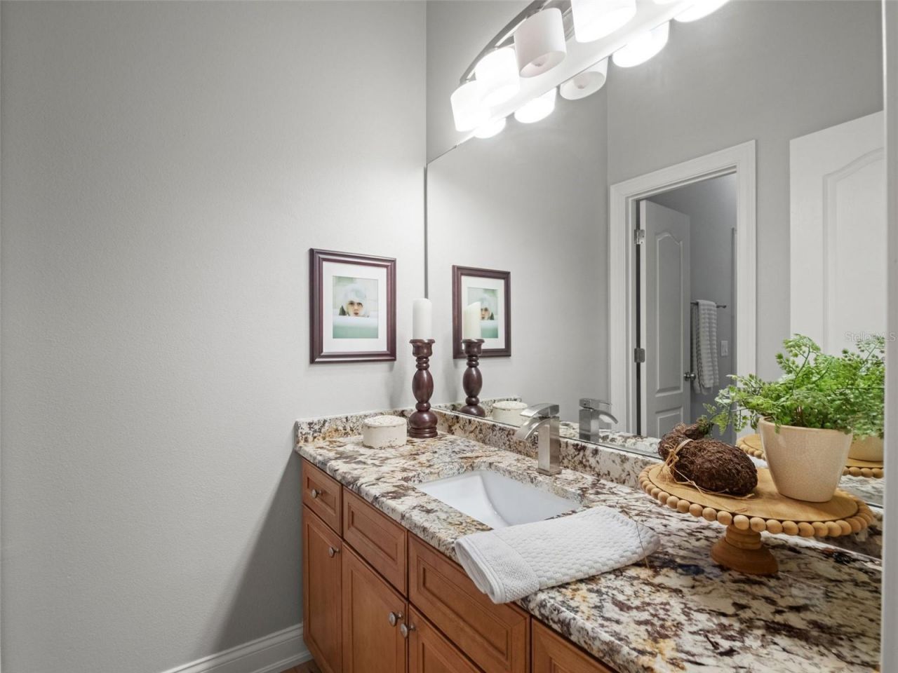 25535 Hawks Run Lane, Sorrento, FL 32776 Photo