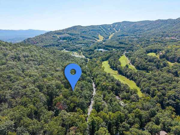 4180 PALMER RD, Unit 66, MCGAHEYSVILLE, VA 22840