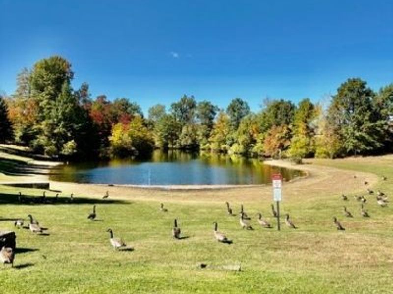 16317 Heather Lane, Middleburg Heights, OH 44130 Photo 34