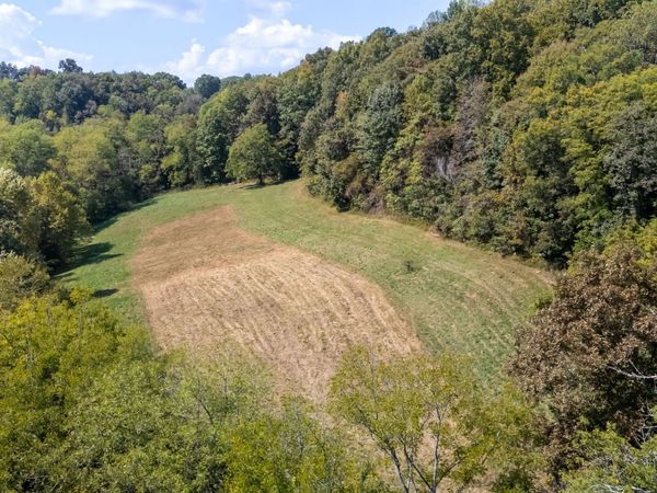384 Big Spring Hollow , Pulaski, TN 38478