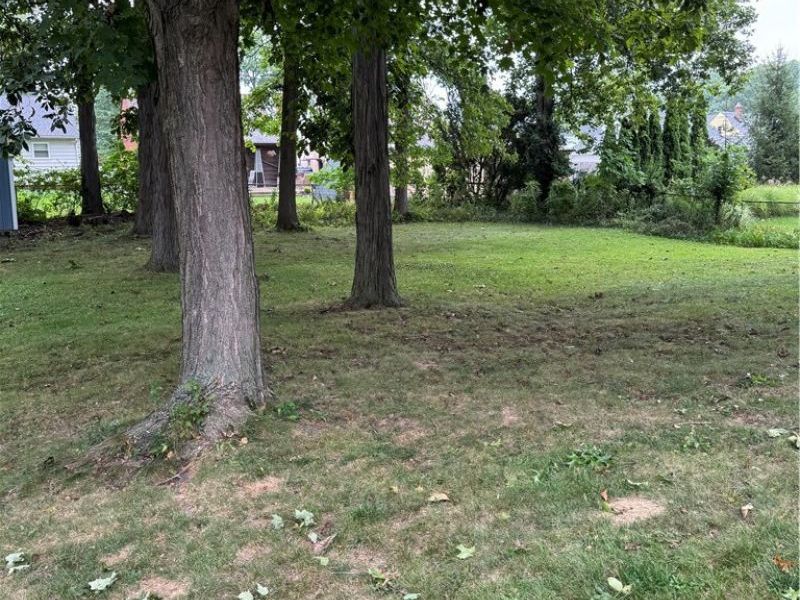 29331 Armadale Avenue, Wickliffe, OH 44092 Photo 46