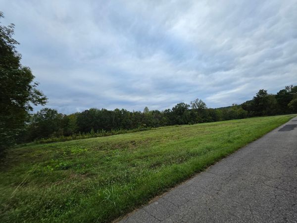 0 Wallace Rd , Waverly, TN 37185