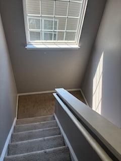 4832 Cane Pole Lane Photo 9