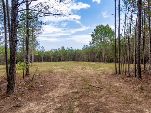 0 Old Mail Rd , Unit 22, Duck River, TN 38454