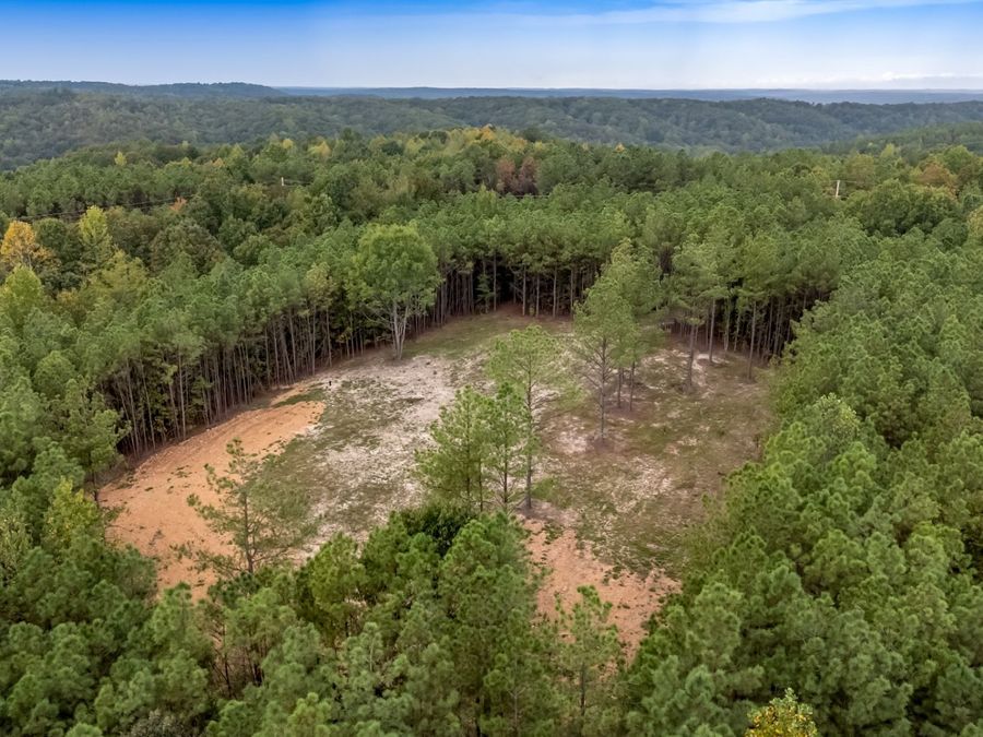 Property Image 18
