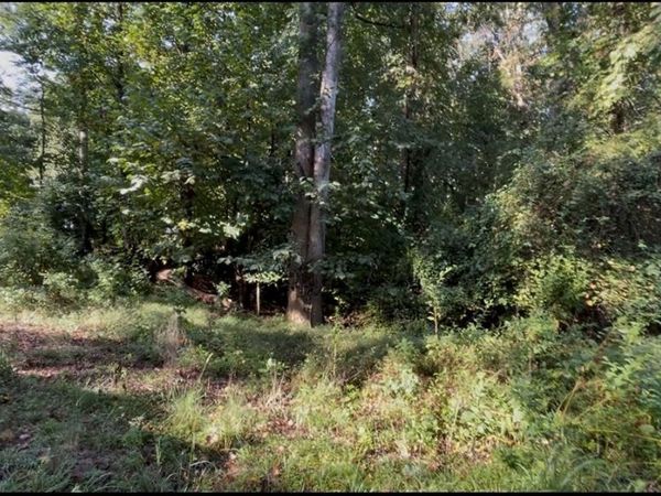 0 Hillshore Road, Unit LOT 42,43,, Lavonia, GA 30553