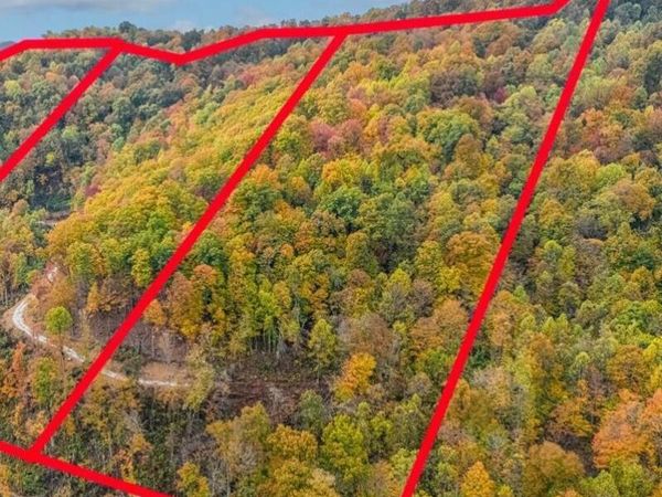 Lot O Buffalo Rd, Oneida, TN 37841