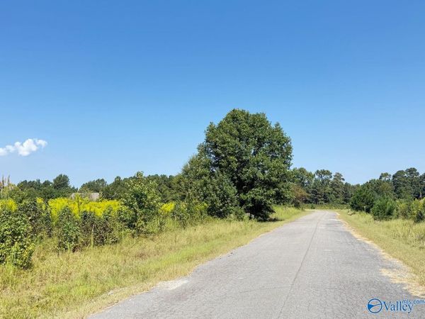 1 acre lot County Road 487, Moulton, AL 35650