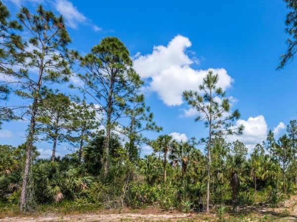 4324 28th AVE SE, NAPLES, FL 34117