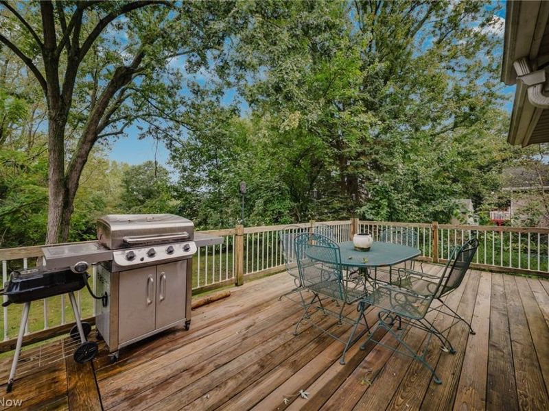 2821 Nesmith Lake Boulevard , Akron, OH 44314 Photo 34