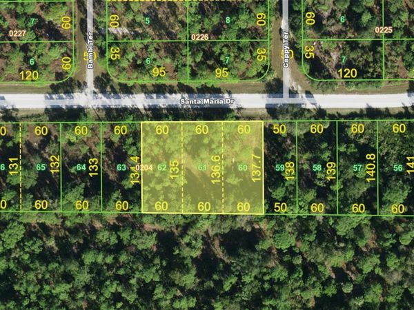 13444 SANTA MARIA DRIVE , PUNTA GORDA, FL 33955